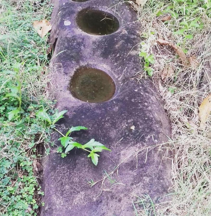 Bencastle Villa Gros Islet Dış mekan fotoğraf