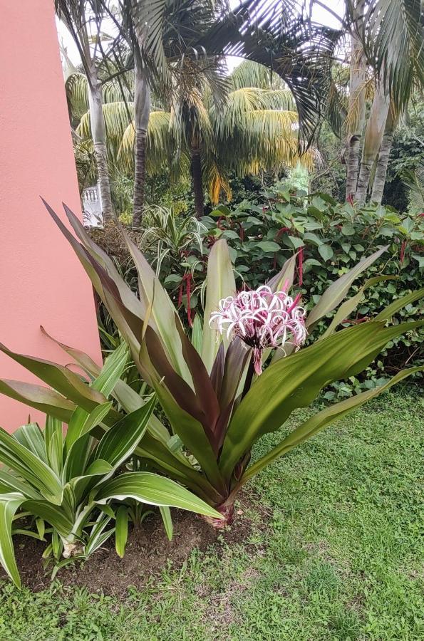 Bencastle Villa Gros Islet Dış mekan fotoğraf