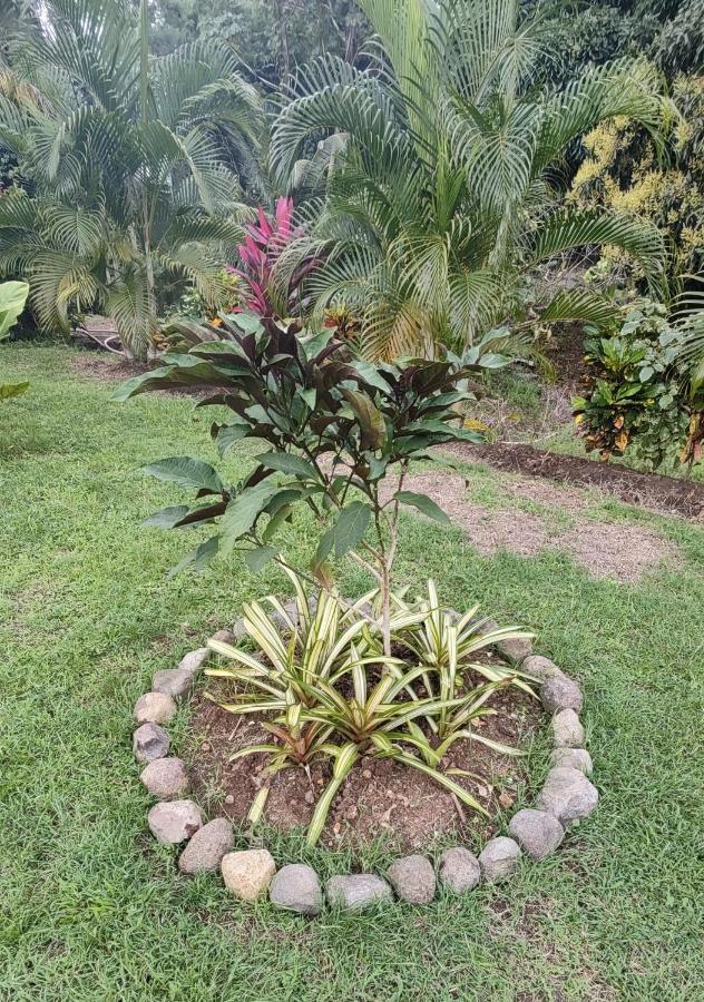Bencastle Villa Gros Islet Dış mekan fotoğraf