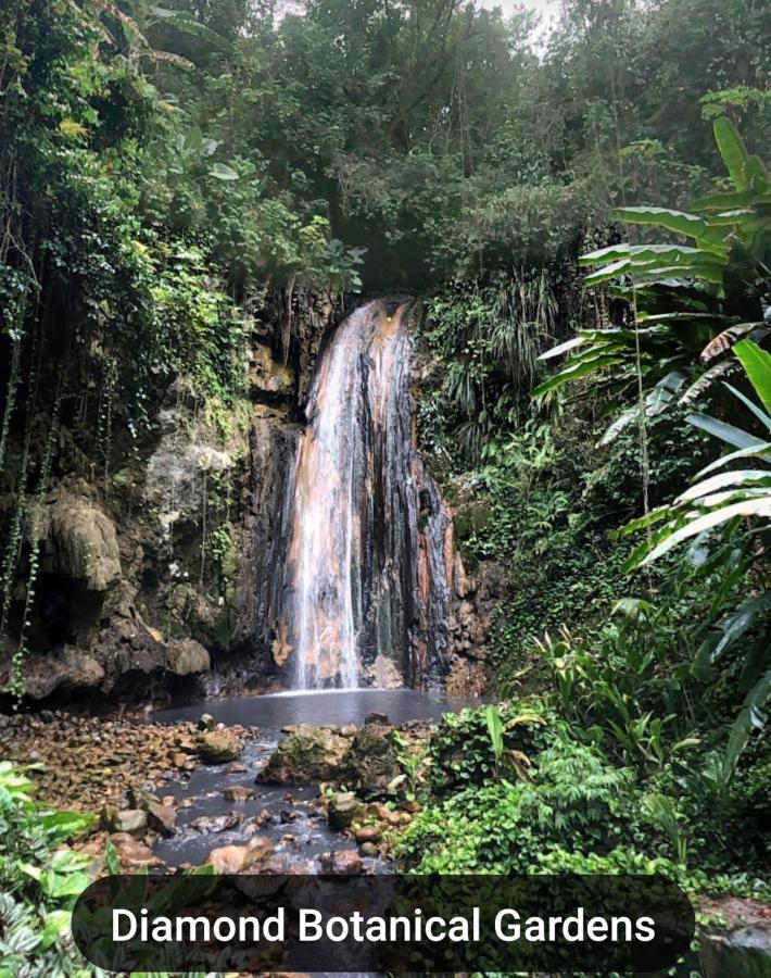 Bencastle Villa Gros Islet Dış mekan fotoğraf